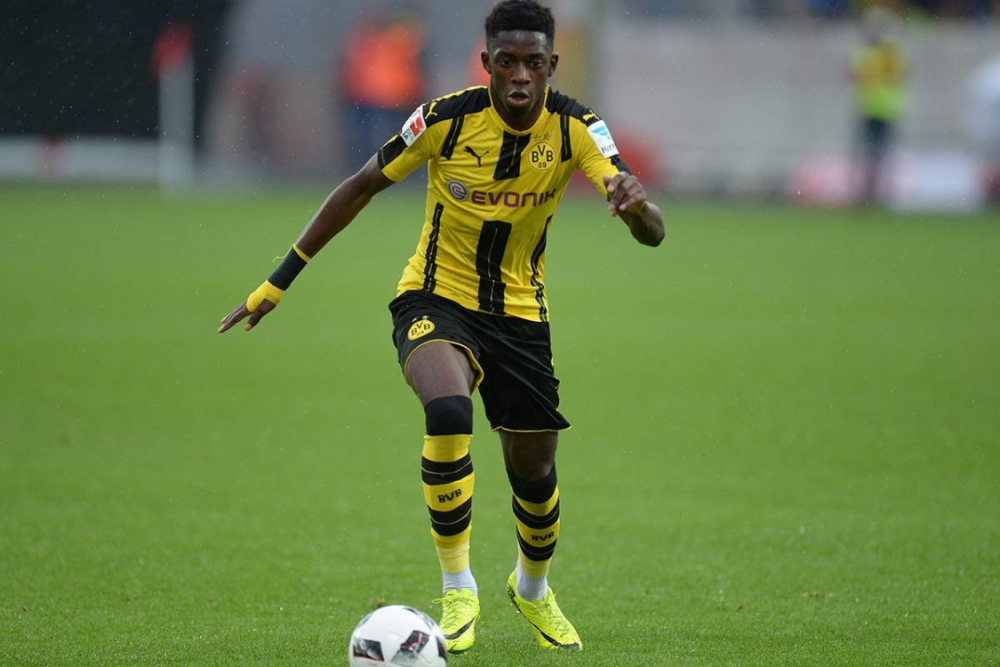 为你补充详 为你补充详